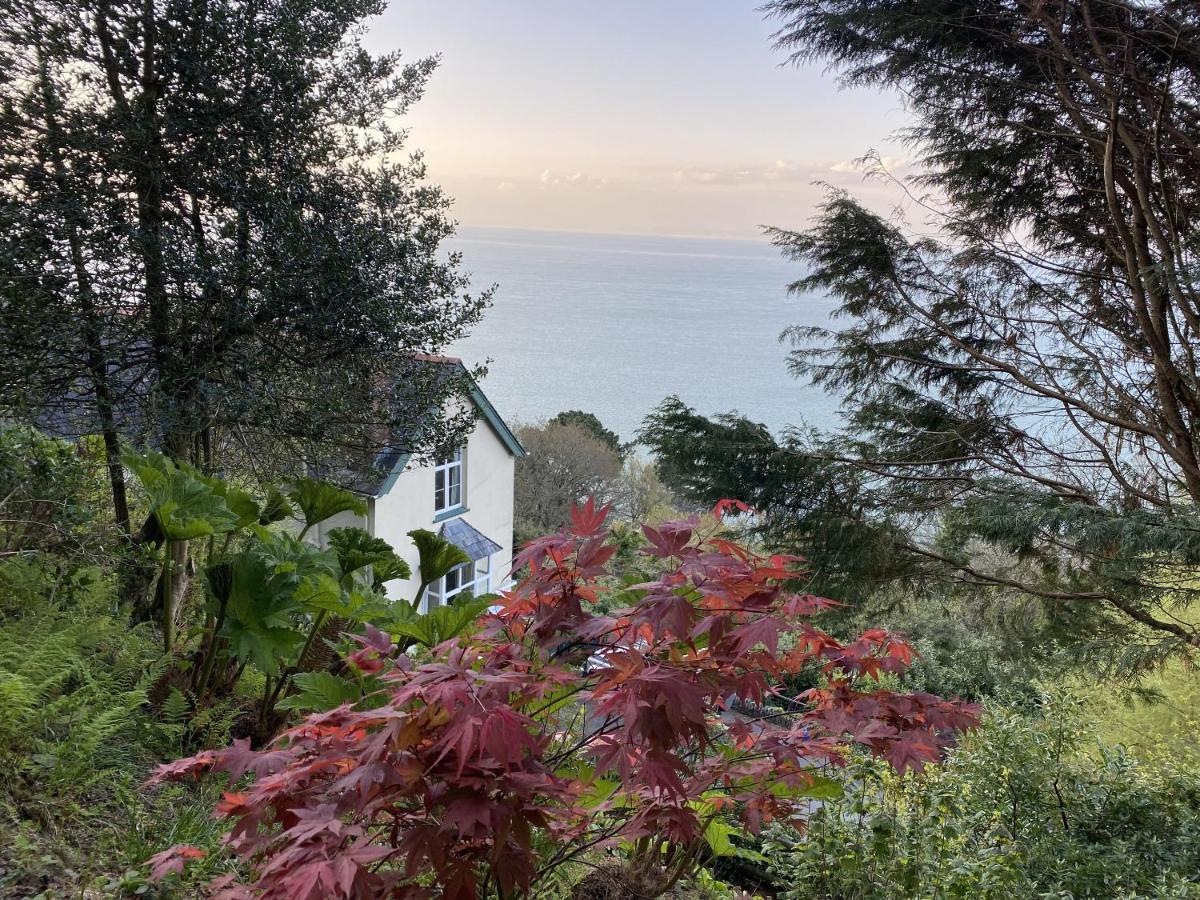 North Walk House Bed and Breakfast Lynton Eksteriør billede