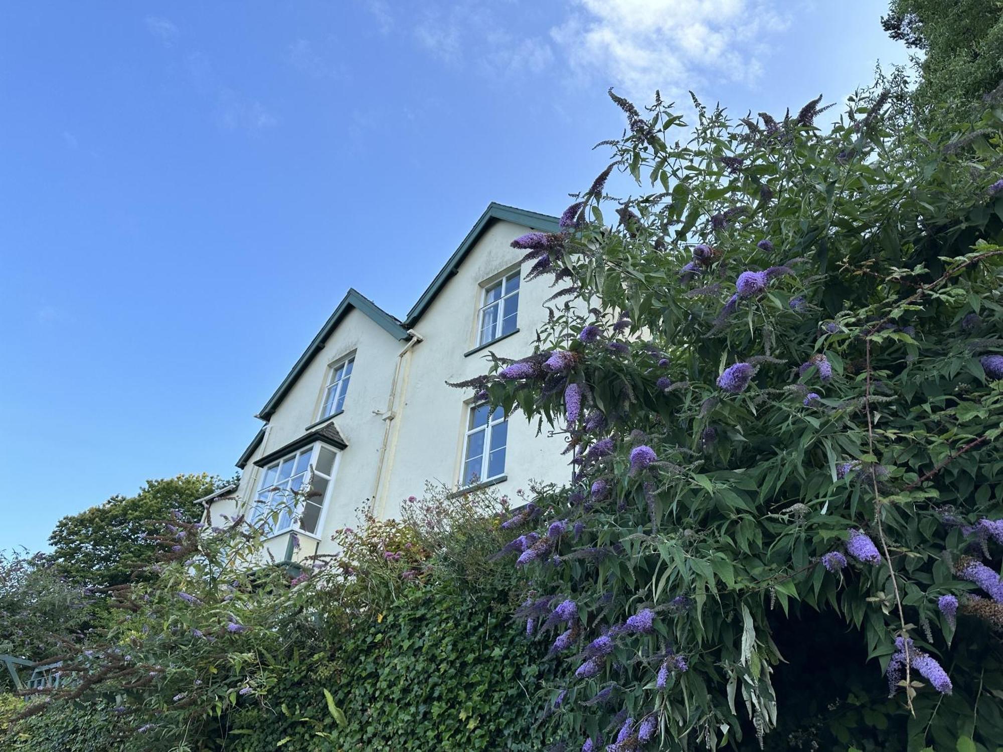 North Walk House Bed and Breakfast Lynton Eksteriør billede